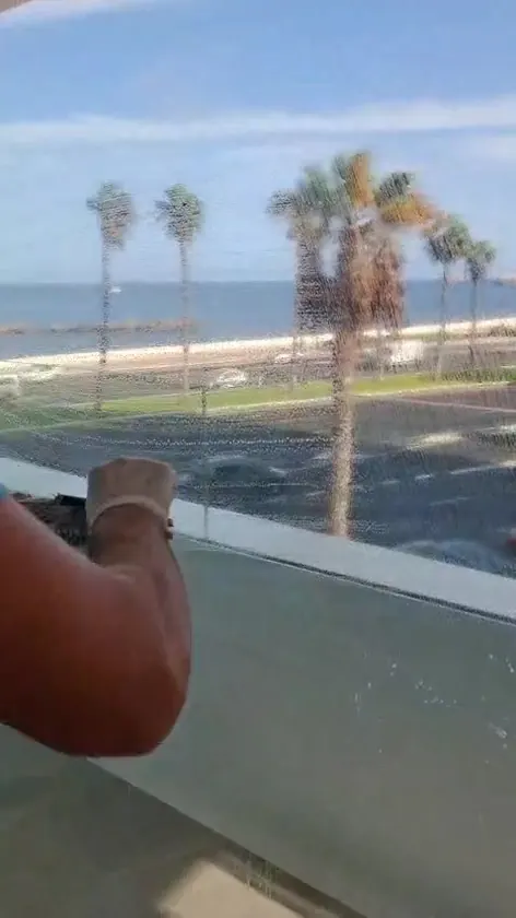 AVA Clean operative cleaning a window overlooking the palms